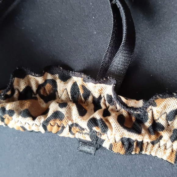 Your everyday line up! - Picture 8 of 11